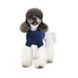 Светр Sam Pet Fashion для собак, розмір L синій 1111201030 фото 3