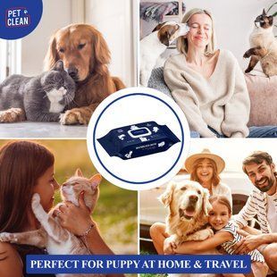 Салфетки влажные Pet Clean PET GROOMING POUCH увлажняющие для груминга домашних животных с легким ароматом цветущей японской вишни 100шт CCPG100 фото