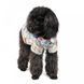 Сорочка Pet Fashion &laquo;Фенікс&raquo; для собак, розмір XS, принт ФениксXS фото 3