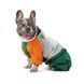 Дождевик Pet Fashion Marlie для собак SM PR243950 фото 4