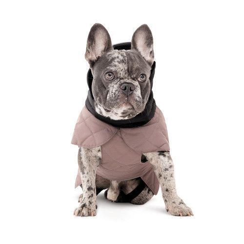 Попона Pet Fashion Max для собак M такса PR243952 фото