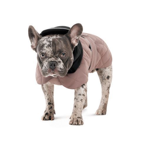 Попона Pet Fashion Max для собак M такса PR243952 фото
