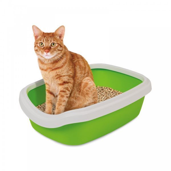 Туалет Природа &laquo;Comfort M&raquo; для котів, 41х30х13,5 см (зелений) PR241737 фото