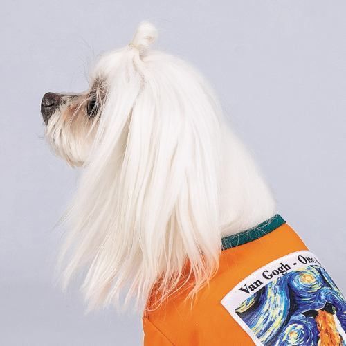 Футболка Pet Fashion &laquo;Art&raquo; для собак, розмір M, помаранчева PR242095 фото