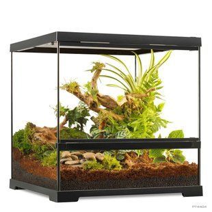 Тераріум ExoTerra для екзотичних тварин Pro Terrarium скляний 45x45x45 см 1111215541 фото