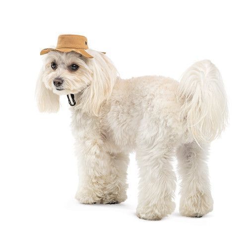 Панама Pet Fashion Ava для собак M PR440290 фото
