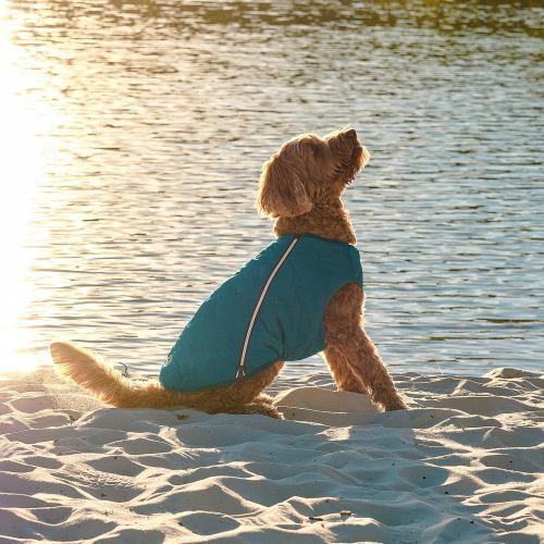 Жилет Pet Fashion &laquo;E.Vest&raquo; для собак, розмір SM, морська хвиля PR242414 фото