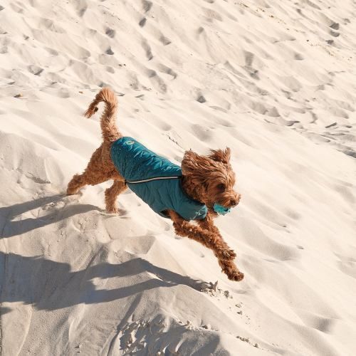 Жилет Pet Fashion &laquo;E.Vest&raquo; для собак, розмір SM, морська хвиля PR242414 фото