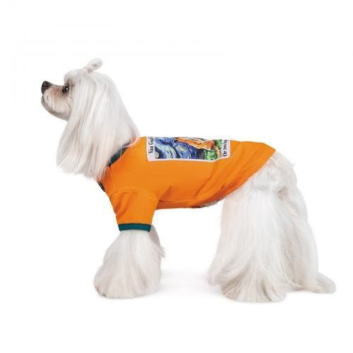 Футболка Pet Fashion &laquo;Art&raquo; для собак, розмір S, помаранчева PR242094 фото