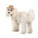 Панама Pet Fashion Ava для собак M PR440290 фото 2