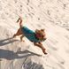 Жилет Pet Fashion &laquo;E.Vest&raquo; для собак, розмір SM, морська хвиля PR242414 фото 4