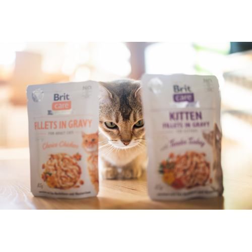 Влажный корм Brit Care Cat Pouch для котят, филе в соусе, нежная индейка, 85 г 100531/0532 фото