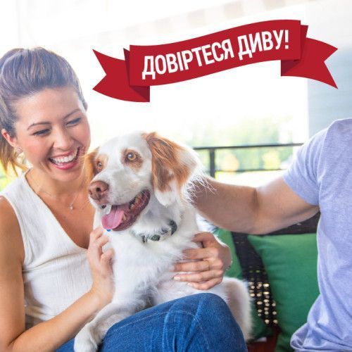 Спрей 8in1 NM Dog Stain&Odor Remover Spray для собак, для устранения пятен и запахов, 709 мл 680005/6962 USA фото