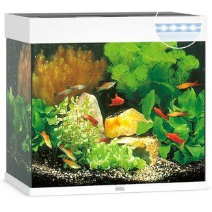 Акваріум Juwel Lido 120 LED, прямий, 61х58х41 см, 120 л 11450/11400 фото