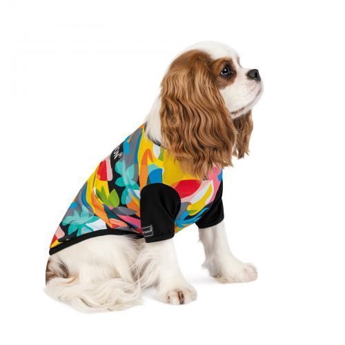 Футболка Pet Fashion &laquo;Mood&raquo; для собак, розмір XS, з принтом PR242081 фото