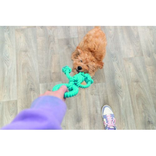 Игрушка Trixie Фигура из веревок для собак полиэстер коттон 26 см 34700 фото
