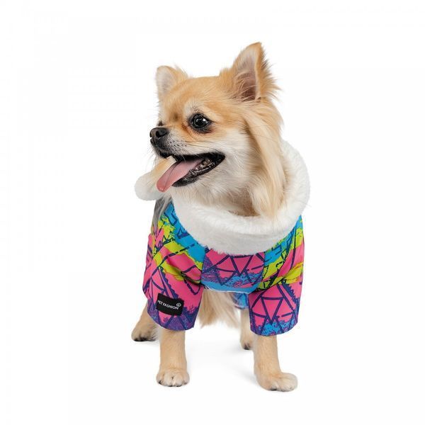Комбінезон Pet Fashion &laquo;Amaze&raquo; для собак, розмір M, з принтом PR242328 фото