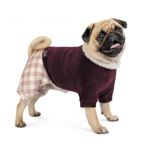 Костюм Pet Fashion &laquo;Spell&raquo; для собак, розмір M, бордовий PR242217 фото