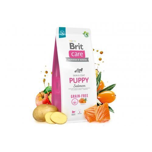 Сухой корм Brit Care Dog Grain-free Puppy для щенков, беззерновой с лососем, 1 кг 172193 фото