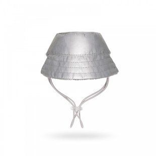 Шапка Pet Fashion &laquo;Party&raquo; для собак, розмір XS, сіра (зима) PR242318 фото