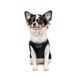 Борцівка Pet Fashion &laquo;FBI&raquo; для собак, розмір S2, чорна PR242022 фото 3
