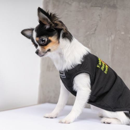 Борцівка Pet Fashion &laquo;FBI&raquo; для собак, розмір XS2, чорна PR242021 фото