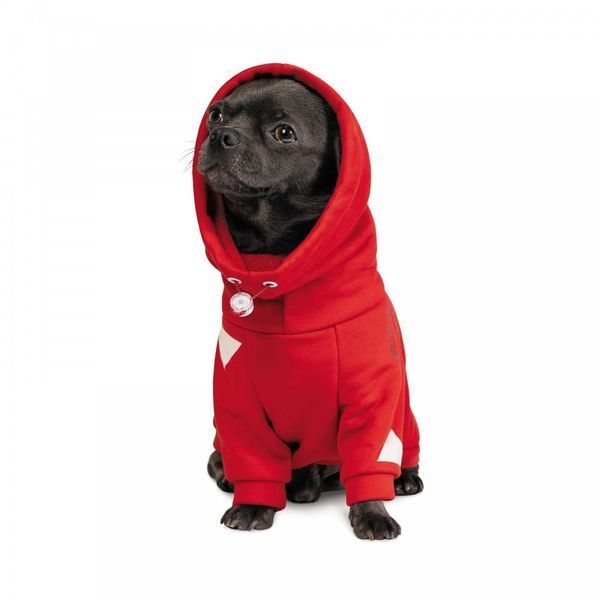 Худі Pet Fashion &laquo;Snoodie&raquo; для собак, розмір M, червоний PR242340 фото