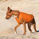 Жилет Pet Fashion &laquo;E.Vest&raquo; для собак, розмір XS2, помаранчевий PR242428 фото 3