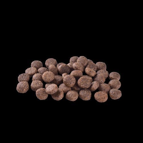 Сухой корм Brit Care Dog Grain-free Adult для собак малых и средних пород, беззерновой с лососем, 12 кг 172198 фото