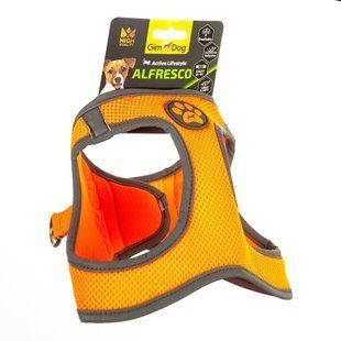 Шлея GimDog Alfresco для собак, неопрен, помаранчева, розмір M, 41-44 см 80334104419 фото