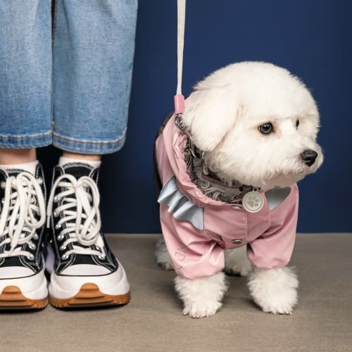 Дождевик Pet Fashion &laquo;Ariel&raquo; для девочки, размер M, розовый PR242988 фото
