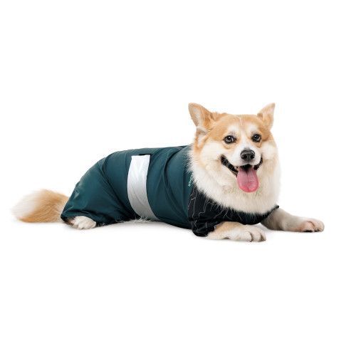 Комбинезон Pet Fashion Den для собак M2 PR243971 фото