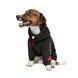 Худі Pet Fashion &laquo;Snoodie&raquo; для собак, розмір M, чорний PR242344 фото 2