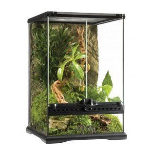 Тераріум Exo Terra Natural Terrarium скляний, 30x30x45 см PT2602 фото