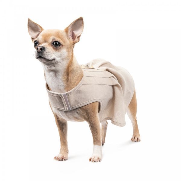 Сарафан Pet Fashion для дівчаток Miya світло-сірий S PR243448 фото
