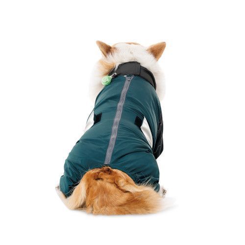 Комбинезон Pet Fashion Den для собак M3 PR243973 фото