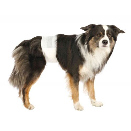 Підгузки Trixie для кобелів, M-L 46-60 см, 12 шт 23642 фото