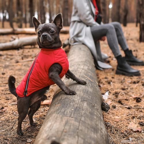 Жилет Pet Fashion &laquo;E.Vest&raquo; для собак, розмір SM, червоний PR242446 фото
