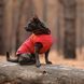 Жилет Pet Fashion &laquo;E.Vest&raquo; для собак, розмір SM, червоний PR242446 фото 5