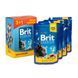 Набор паучей "3+1" для кошек Brit Premium Cat pouch с лососем и форелью, 4 х 100г VAFO_030325 фото 6