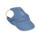 Кепка Pet Fashion Den для собак S 1111223249 фото 1