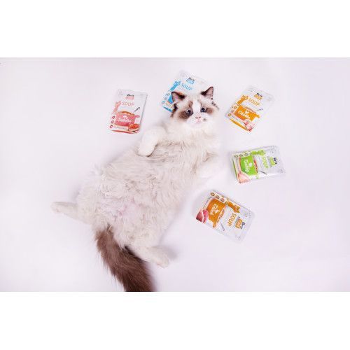 Корм вологий "Суп для котів Brit Care Soup with Chicken з куркою", 75 г 101152 фото