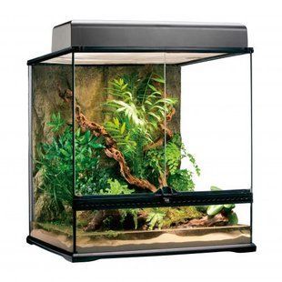 Тераріум Exo Terra Natural Terrarium скляний, 60 x 45 x 60 см PT2612 фото