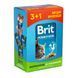 Набор паучей "3+1" для стерилизованных кошек Brit Premium Cat pouch Chicken Slices for Sterilised с курицей, 4х100г VAFO_030356 фото 1