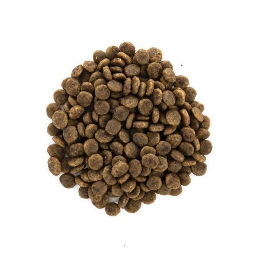 Сухий корм Brit Care Cat GF Sensitive HDigestion & Delicate Taste для котів з чутливим травленням, індичка та лосось, 2 кг 171282 фото