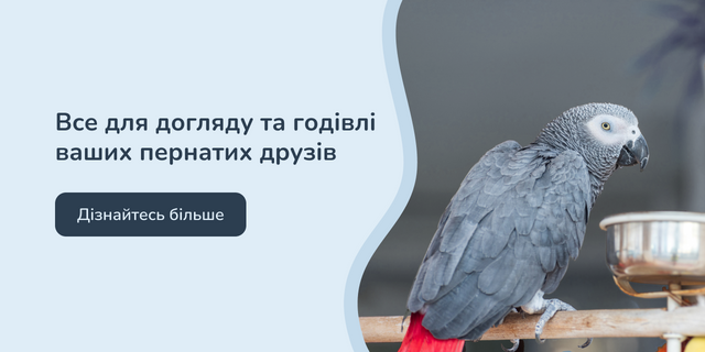 Banner from design