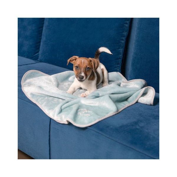 Плед Pet Fashion Bliss 1 для собак і котів м ята 77х60 см 1111161844 фото