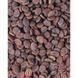 Сухой корм Carnilove True Fresh Cat для взрослых кошек, с индейкой, 1,8 кг 172160 фото 4