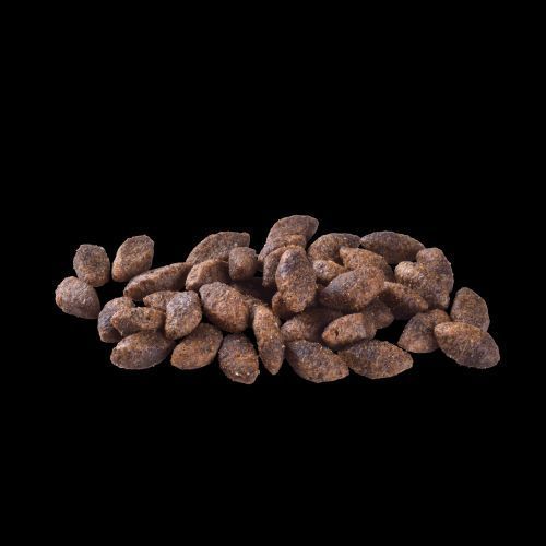 Сухой корм Brit Care Dog Grain-free Sensitive для собак с чувствительным пищеварением, беззерновой с олениной, 12 кг 172210 фото