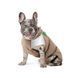 Жилет Pet Fashion Chip для собак такса S2 PR243883 фото 3